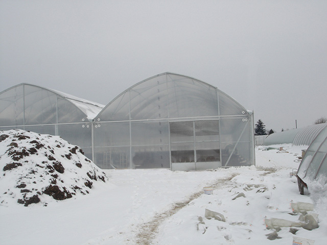 Invernadero con cubierta de policarbonato con gran resistencia al viento -  Agritech Murcia