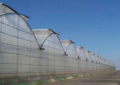 AJF invernaderos - ventilación cenital